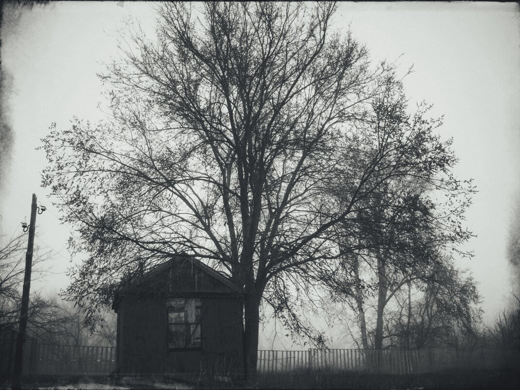 Продолжение туманного - Сергей В Продолжение туманного - Сергей В