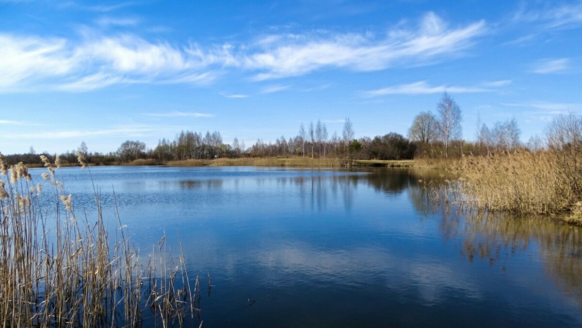 Весна в начале апреля. - Милешкин Владимир Алексеевич 
