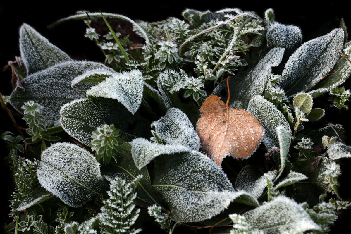 ВДНХ 1 октября - Михаил Бибичков ВДНХ 1 октября - Михаил Бибичков