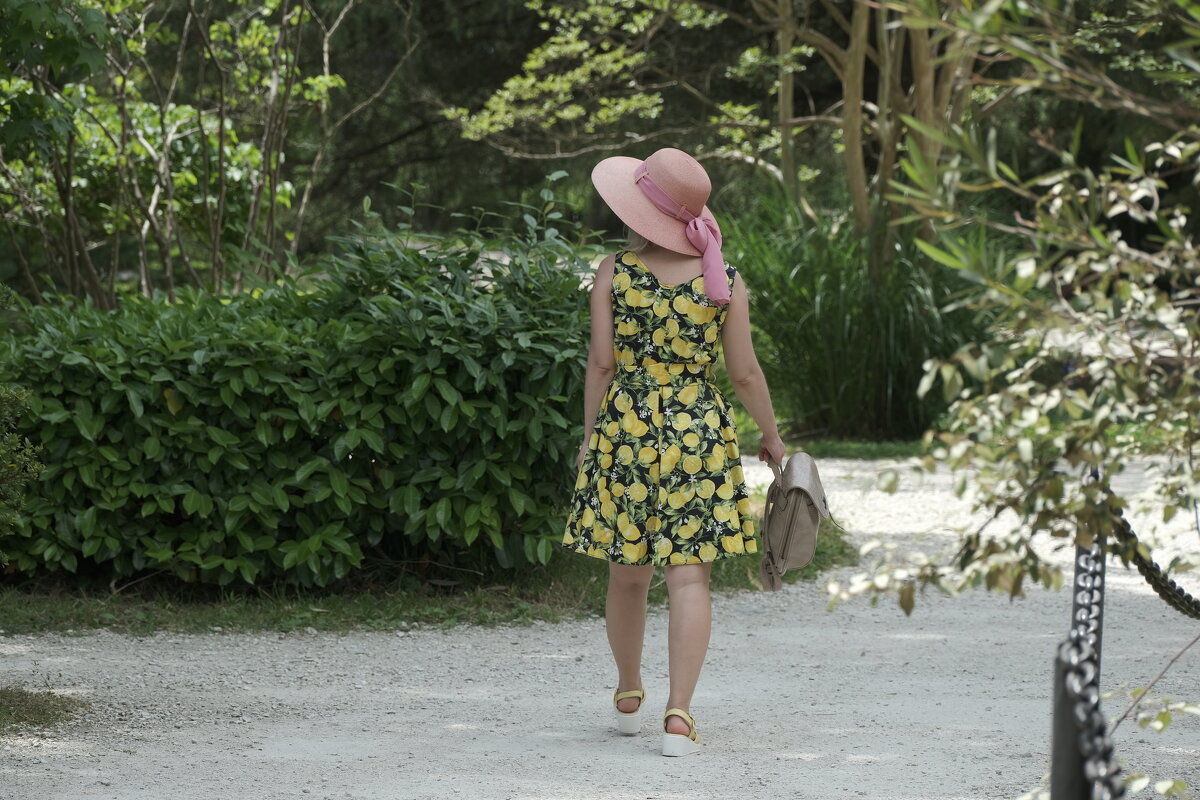 Лимонный вальс - Иван Державин