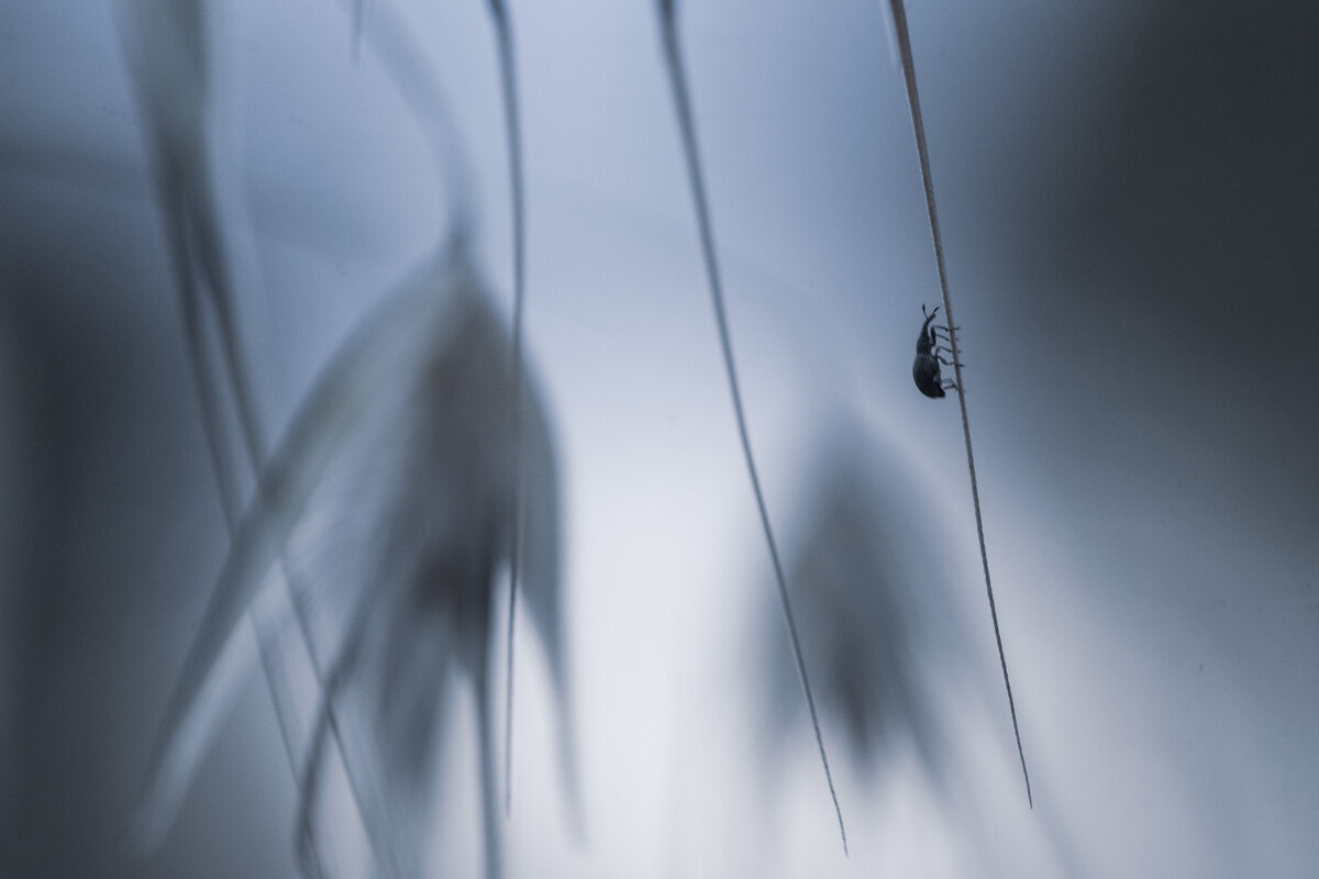 прогулка по полям - Осень 