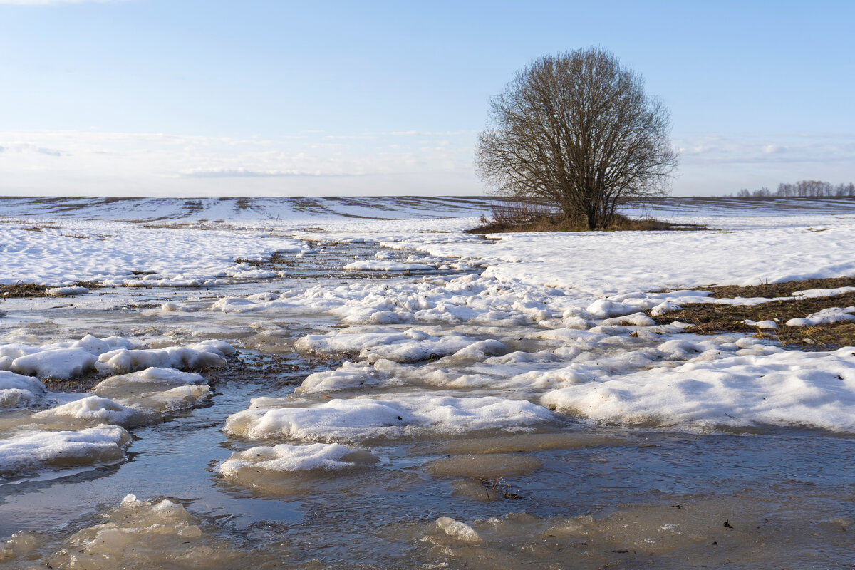 Бегут ручьи... - Сергей Ц