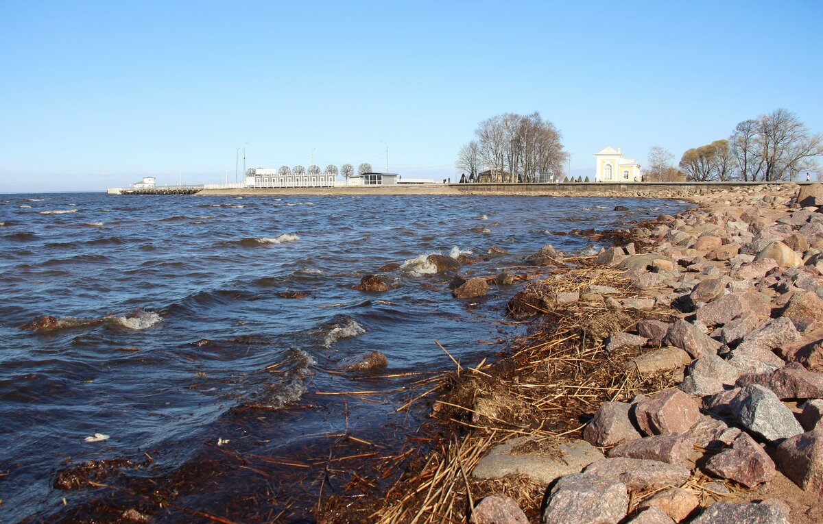 Петергоф. Финский залив - Наталья Герасимова Петергоф. Финский залив - Наталья Герасимова
