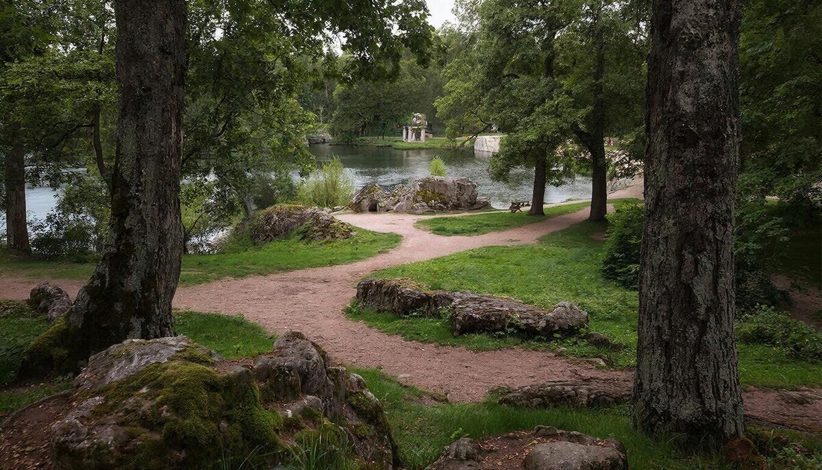 Пейзаж лесной - СЕРГЕЙ ФИЛОЧКИН