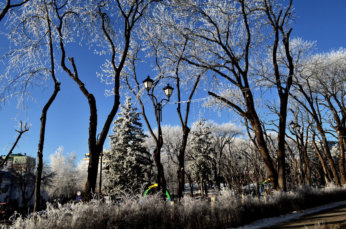 Зимний иней - Мишель71 Зимний иней - Мишель71