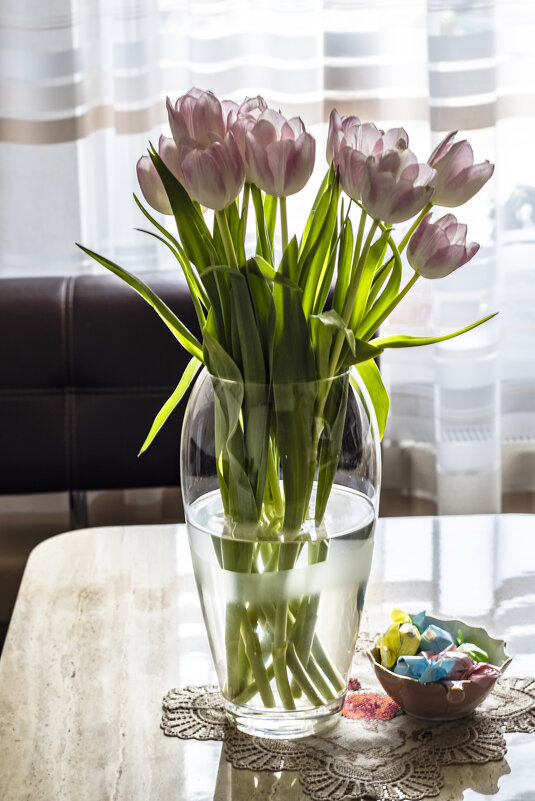 И опять тюльпаны. - Николай И опять тюльпаны. - Николай