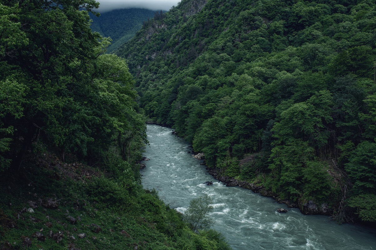 Река Бзыбь - Лилия . Река Бзыбь - Лилия .