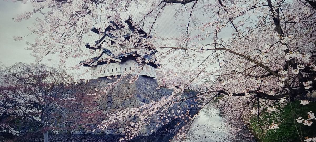 ВЕСНА !...2026 года - Валерий Кокорев