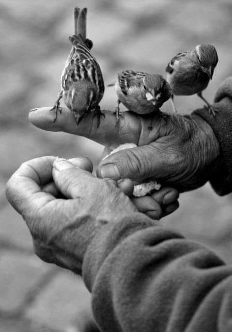 Ну что - прилетели ?! :) - Валерий Кокорев