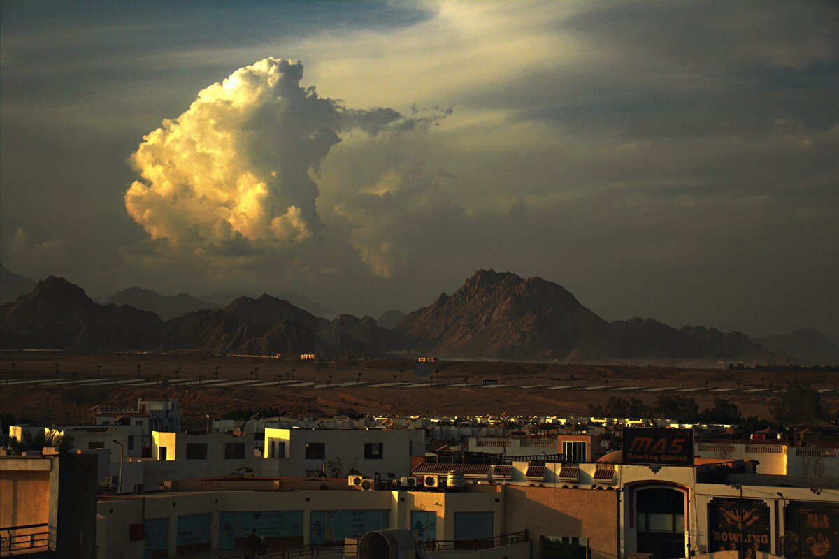 Зарисовки Шармаля - Александр Козлов