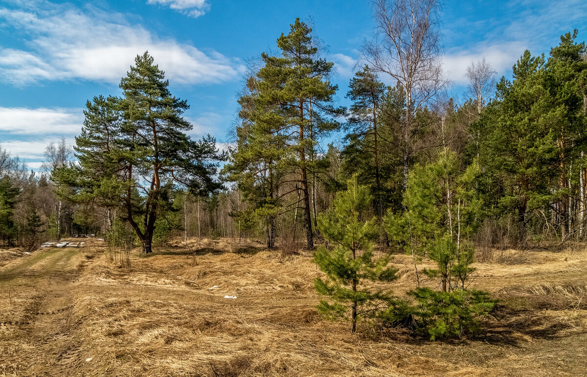 Теплый апрель 4 - Андрей Дворников