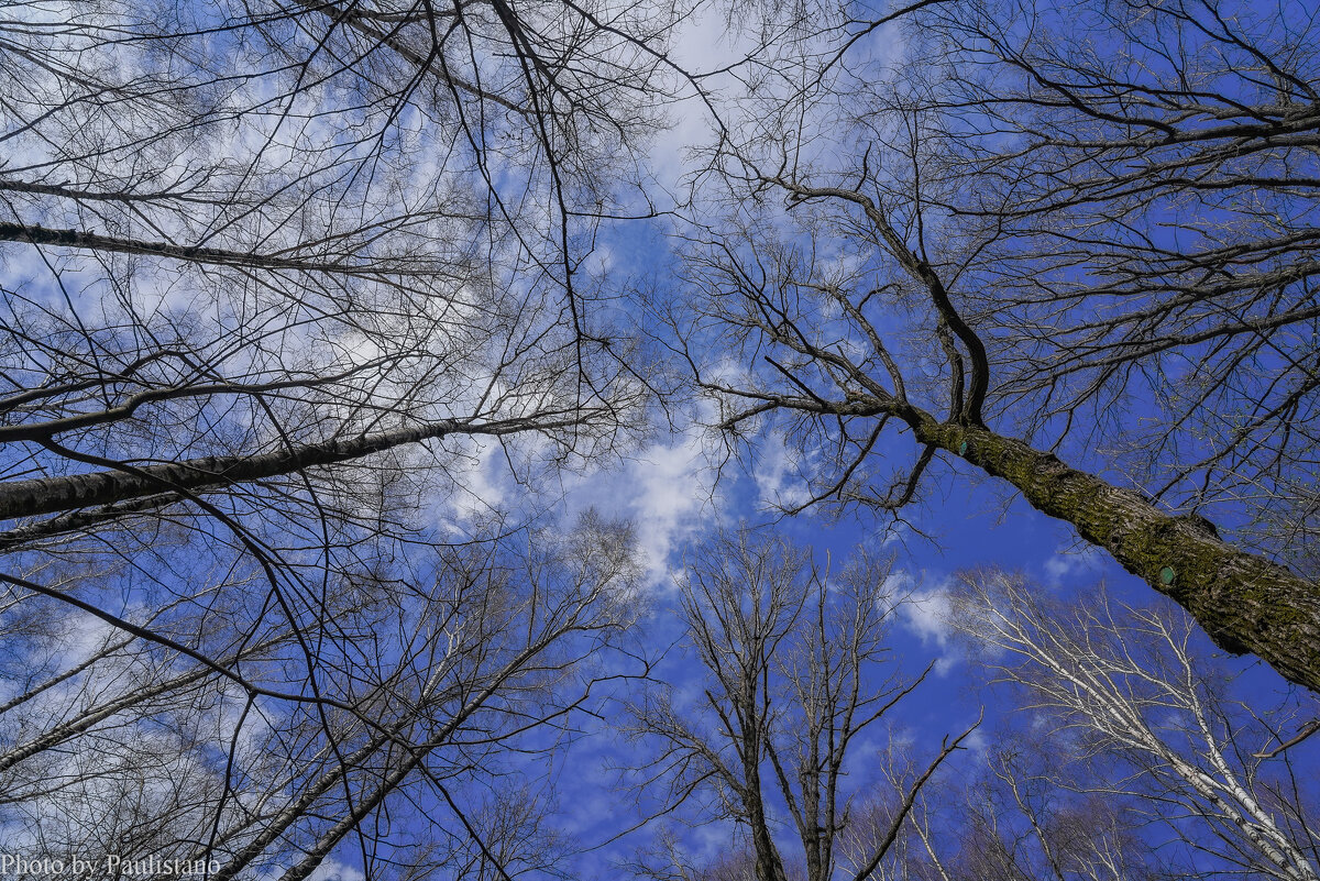 Небо апреля... - Владимир Жданов Небо апреля... - Владимир Жданов