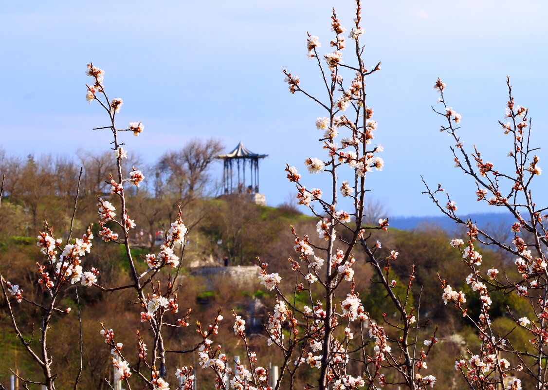 весна пришла - Игорь Kуленко