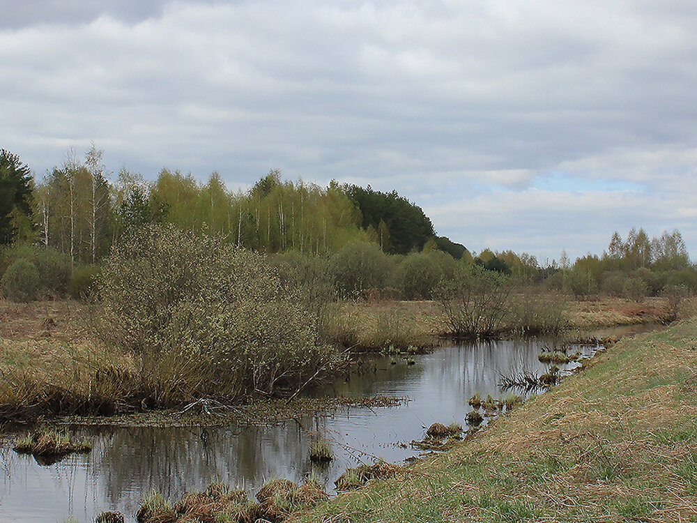 Весеннее. - Ирина Кустова