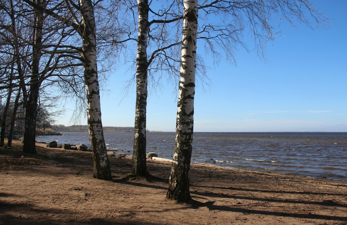 Петергоф. Финский залив - Наталья Герасимова
