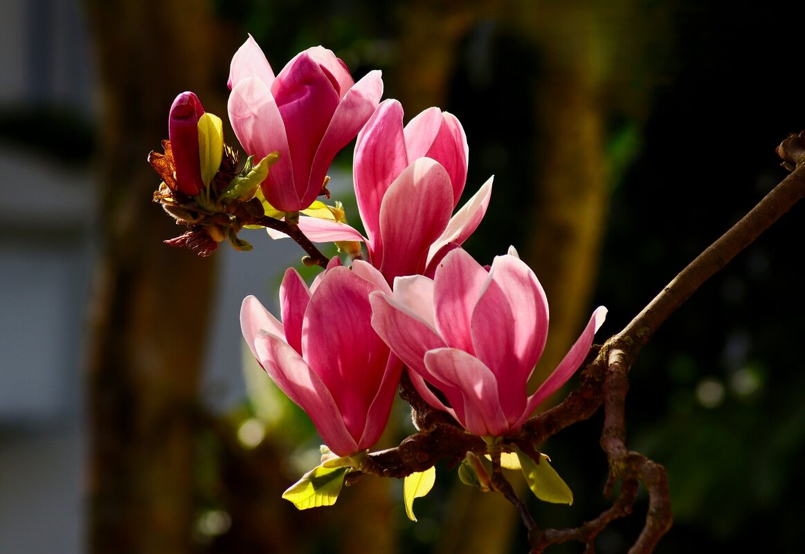 Доброе утро - Юрий. Шмаков Доброе утро - Юрий. Шмаков