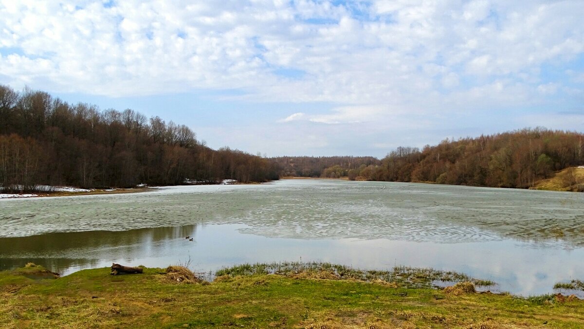 Смоленская весна. - Милешкин Владимир Алексеевич 
