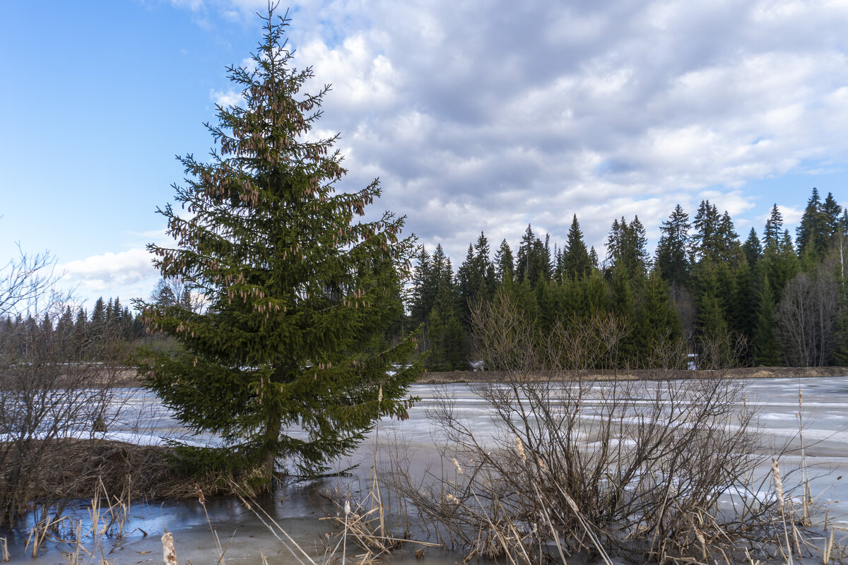 Половодье - Сергей Ц