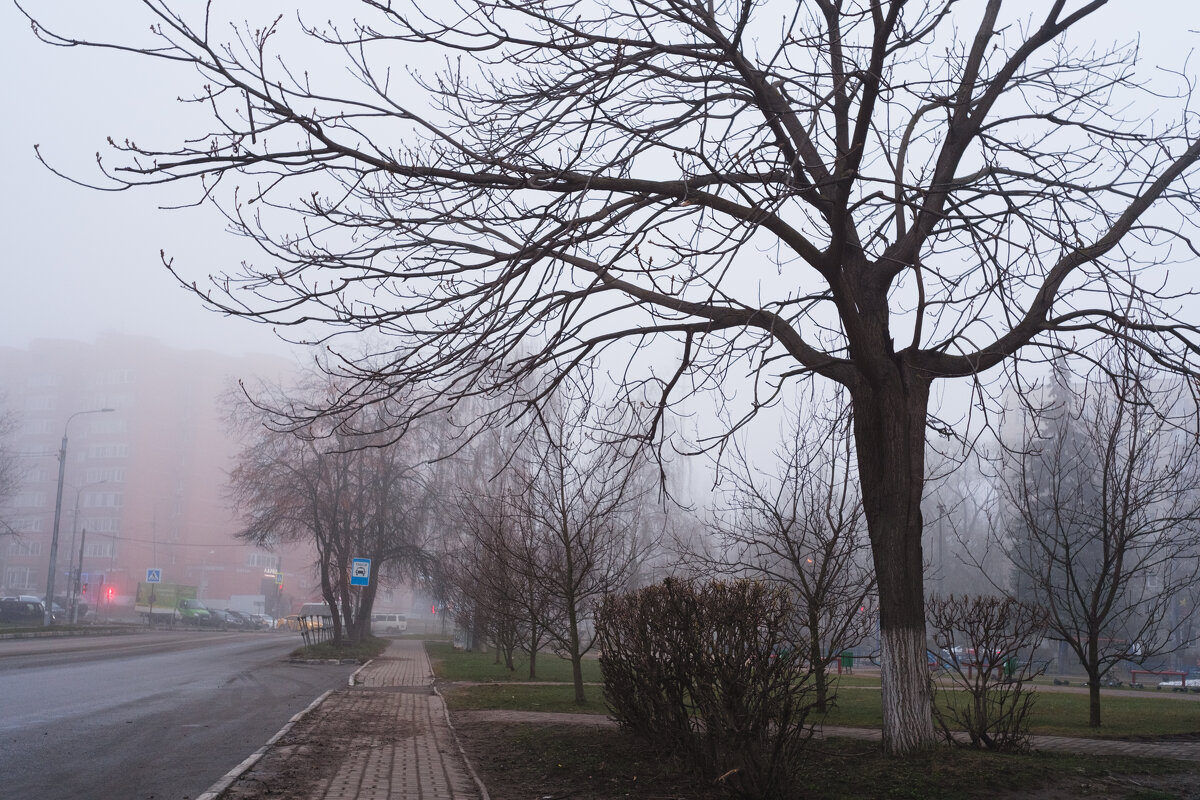 Утро. Туман - Dar(k) Life