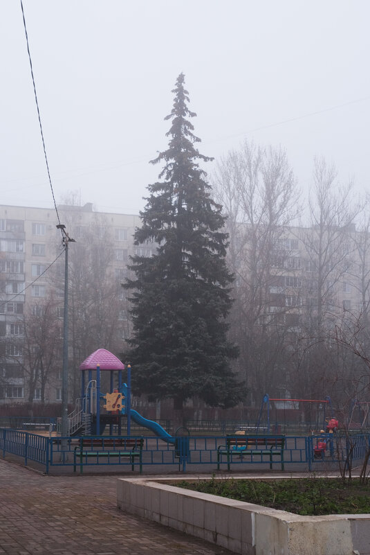 Утро. Туман. Детская площадка - Dar(k) Life