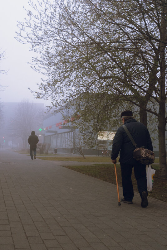 Утро. Туман. Пешеходы - Dar(k) Life