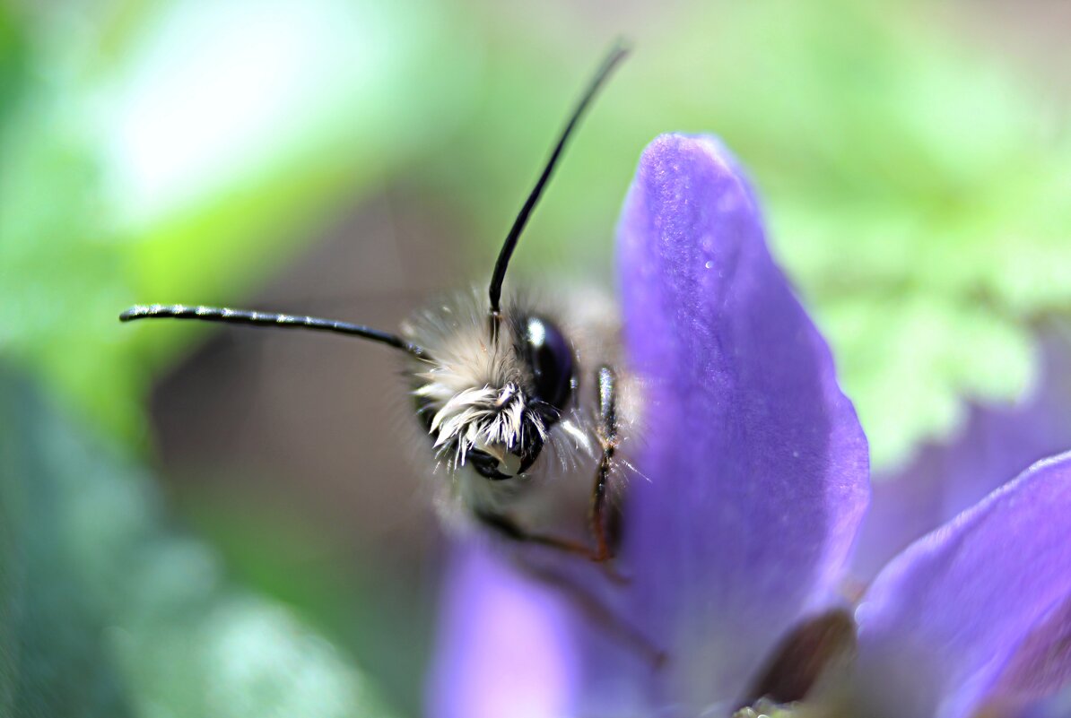 Доброе утро ) - Tina Kott