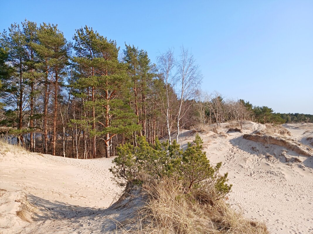 Дюны - Лия ☼ Дюны - Лия ☼