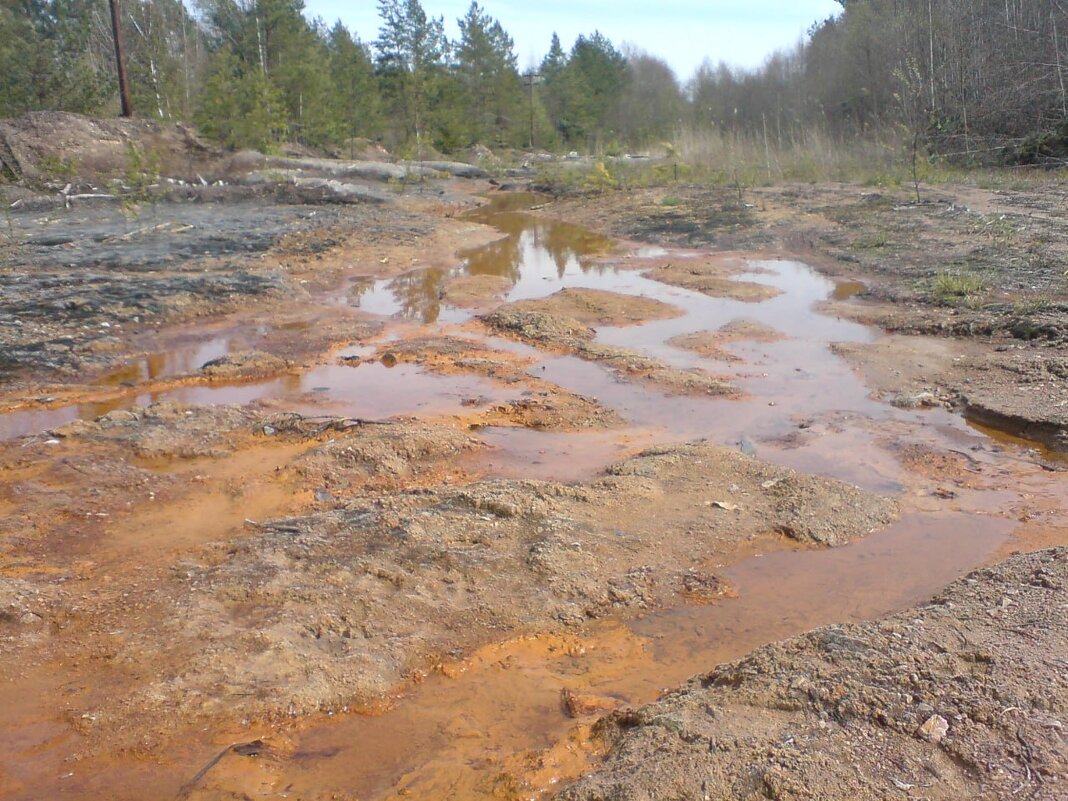 Ржавчина - Not Lion