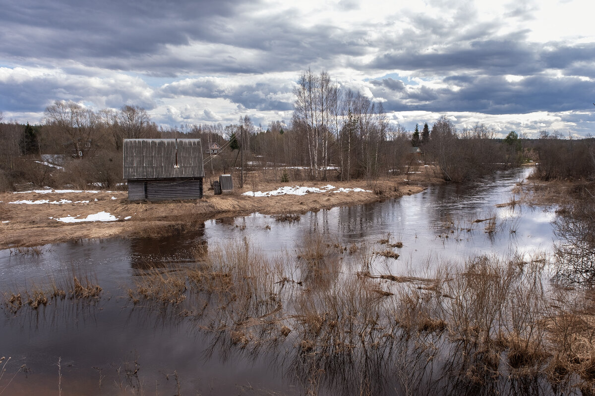 половодье, пасмурный день - Galina 