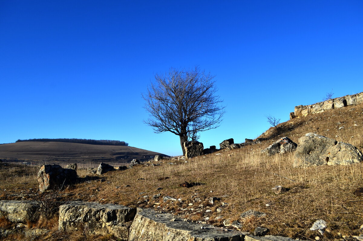 Горный пейзаж - Мишель71 