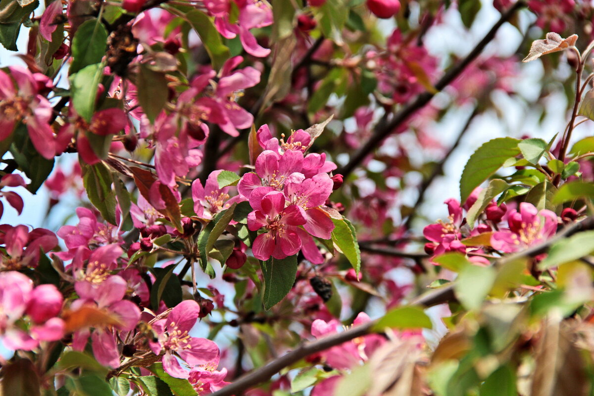 ...совсем скоро... - Александр Герасенков ...совсем скоро... - Александр Герасенков