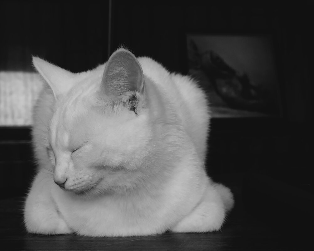 Блаженная - Сергей Матвеенко