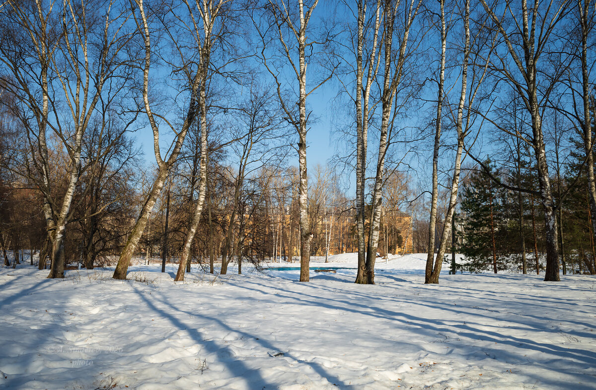 Весенняя природа - Александр Синдерёв