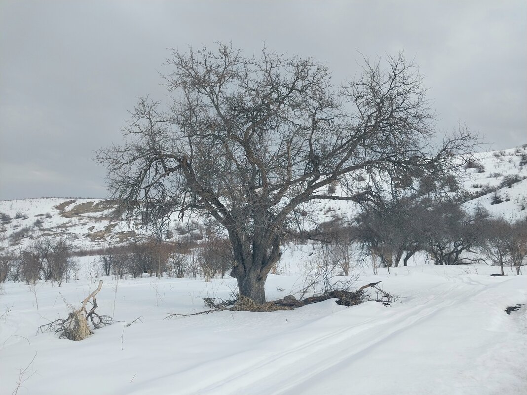 Ак Булак. Талгар. - Murat Bukaev 