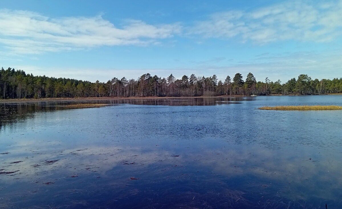 Весенние фотозарисовки.. - Татьян@ Ивановна Весенние фотозарисовки.. - Татьян@ Ивановна