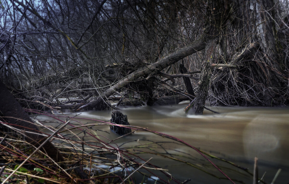 Паводок в пути - sorovey Sol