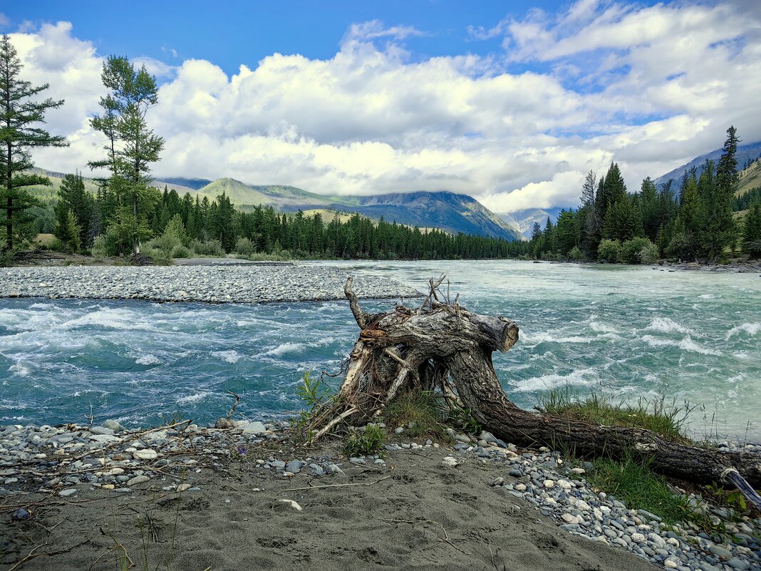 Река Коксу - Галина Козлова 