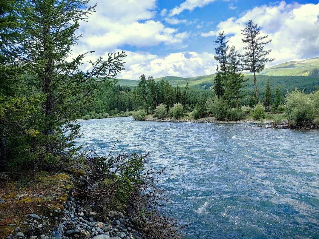 Голубая река - Галина Козлова 