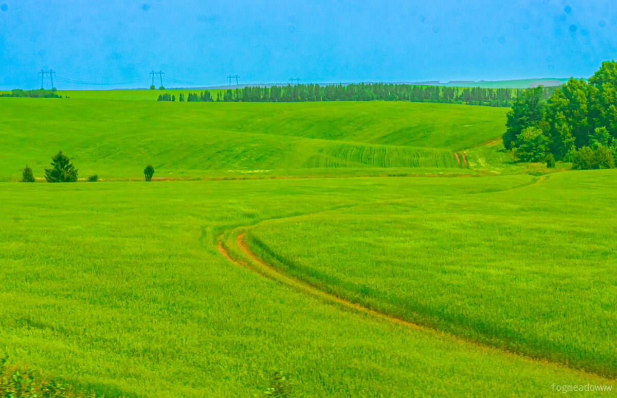 Летнее поле - fogmeadowww m