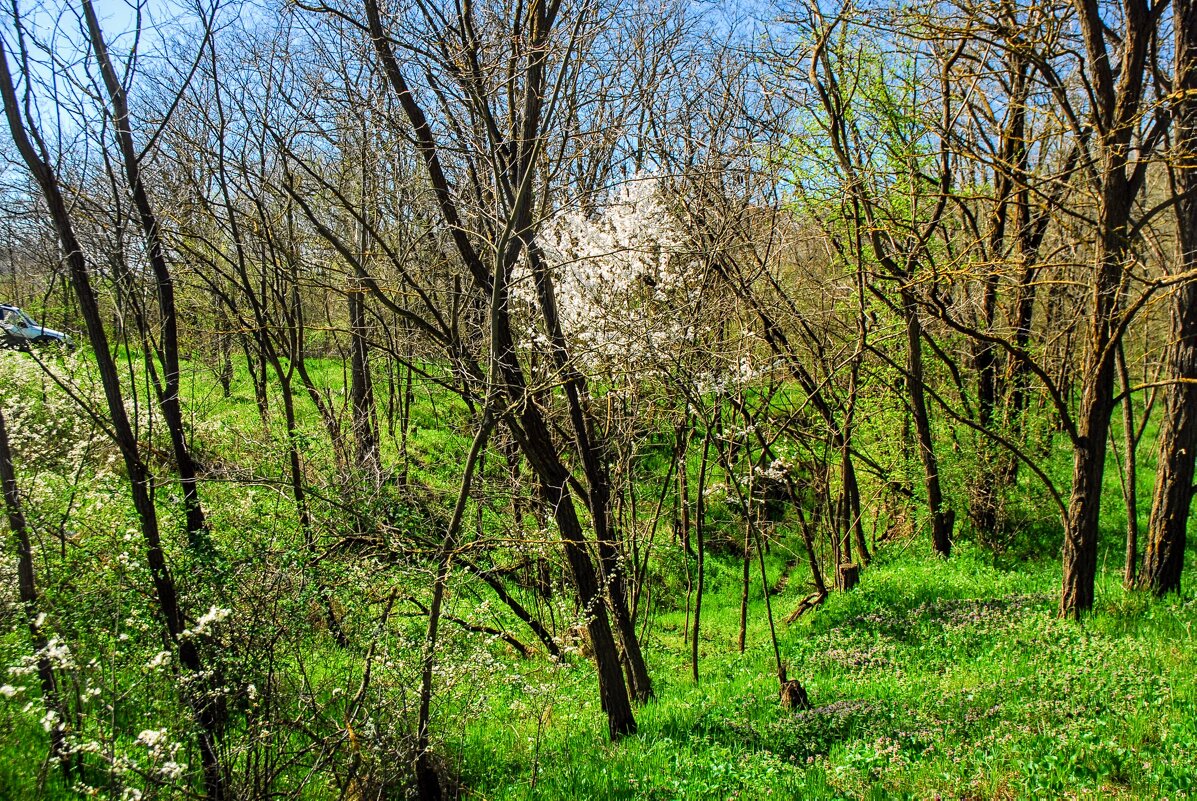 Апрель. - Владимир 