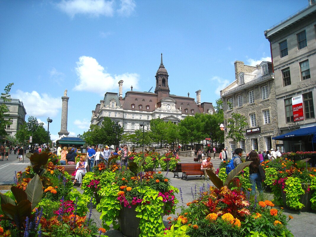 Славный город Монреаль, Канада. - unix (Илья Утропов)