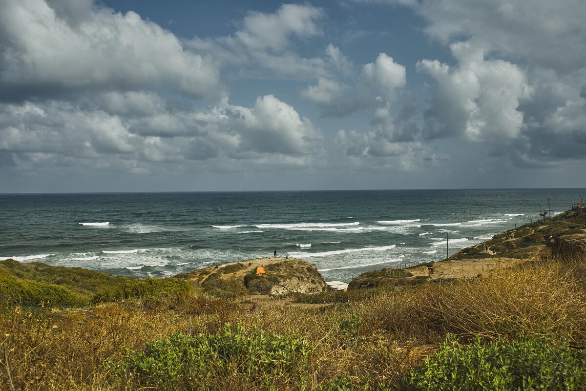 Израиль2029г - ujgcvbif 