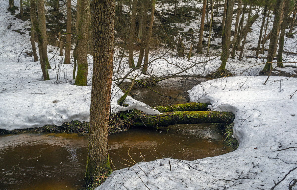 У ручья - Сергей Цветков У ручья - Сергей Цветков