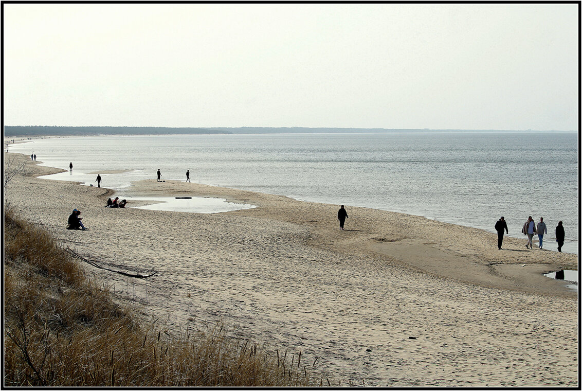 *** - Aleksandr Gal *** - Aleksandr Gal