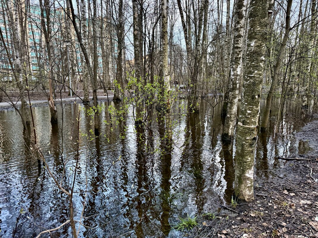 Апрельский снег) - Любовь 