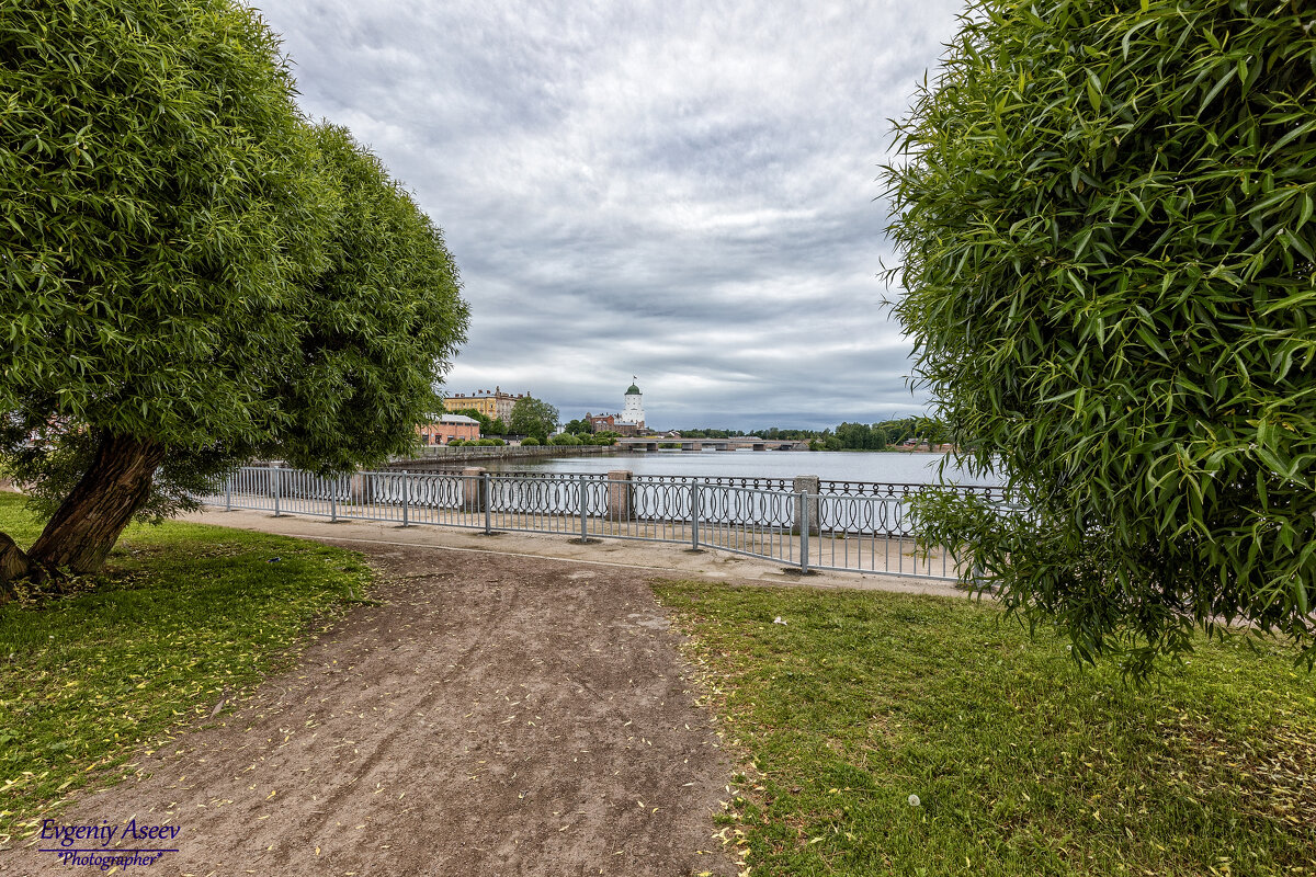 Выборгские зарисовки - Евгений Выборгские зарисовки - Евгений