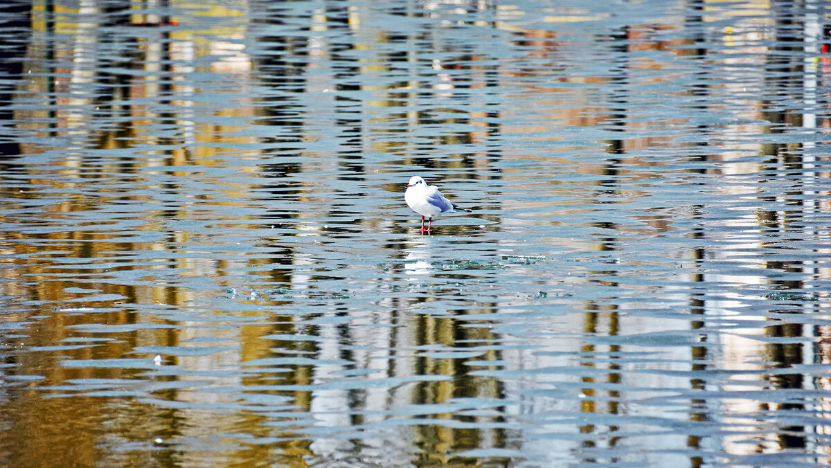 В концептуальной местности - Alexandеr P В концептуальной местности - Alexandеr P
