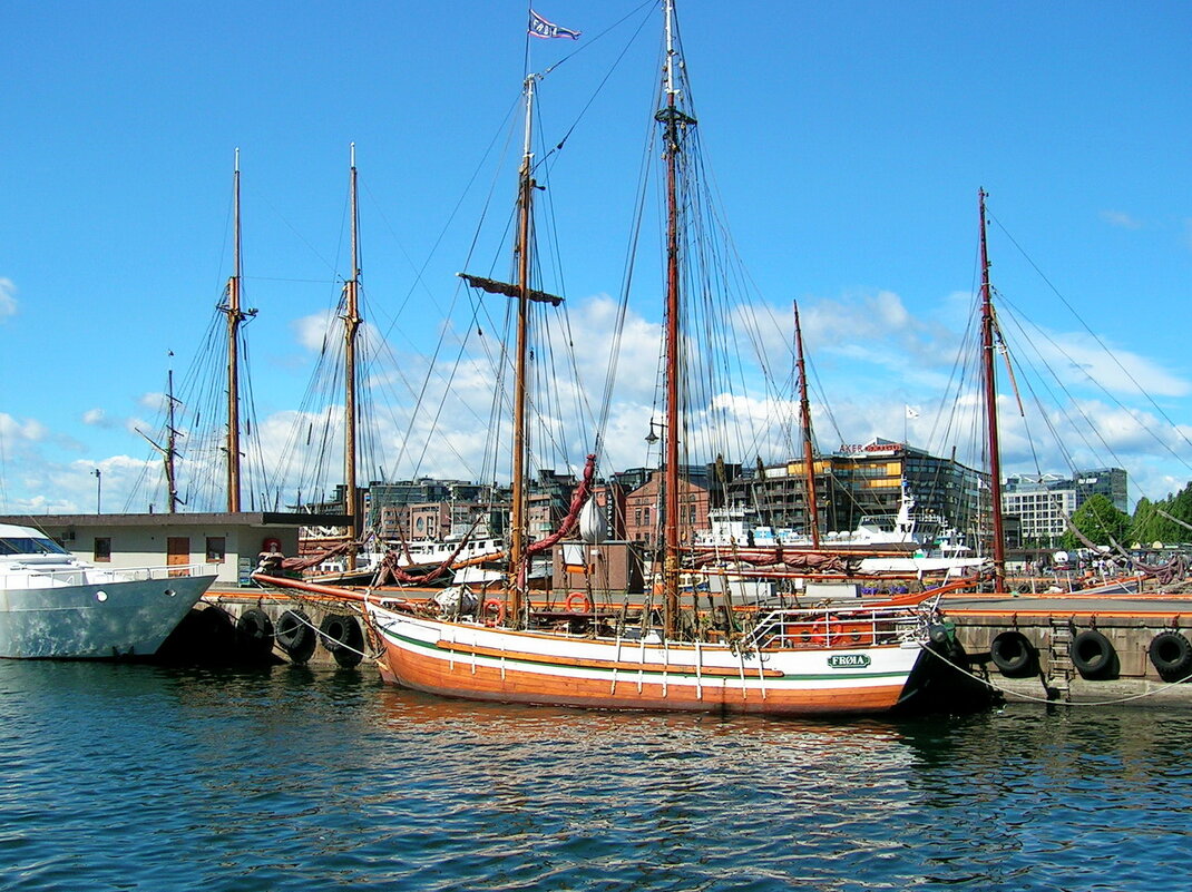 ... - Анастасия Смирнова