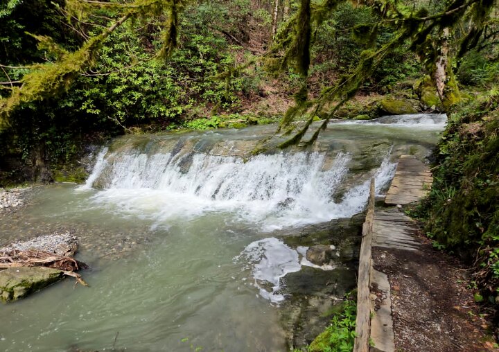 ОРЕХОВКА - Tata Wolf