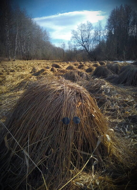 Хиппи - Александр Лебедев
